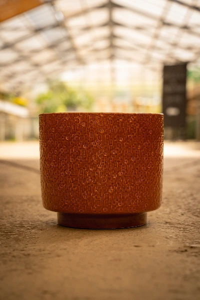Cache Pot Minerva