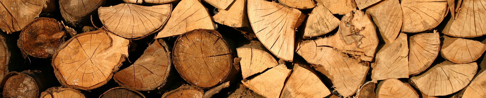 e-boutique-bois