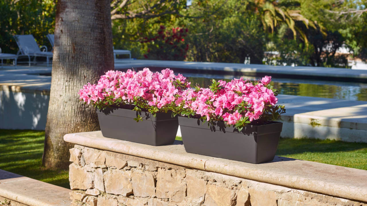 Pot Capri – Image 2