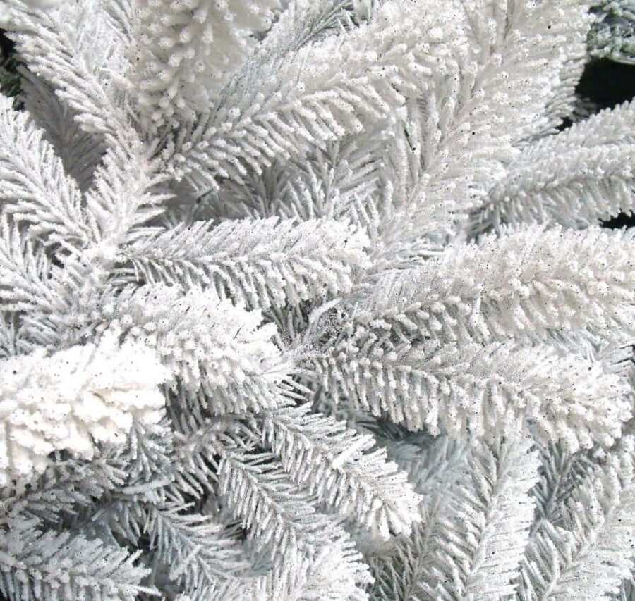 Branche de Sapin Floqué Blanc