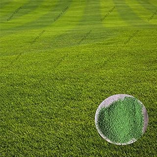 Gazon Zoysia
