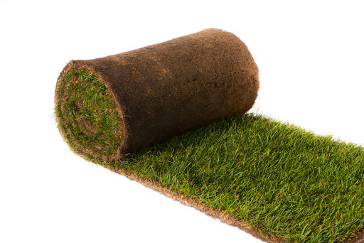 Gazon Naturel en Plaque au M²