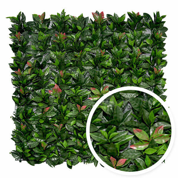 Haie Artificielle Photinia 1x1m