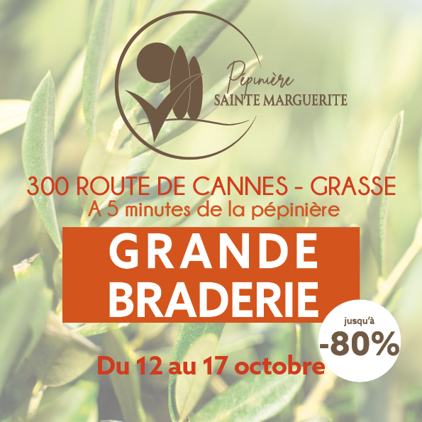 Grande Braderie